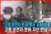 "고령 운전자 한 해 평균 교통사고 증가"