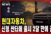 현대자동차, 신형 싼타페 출시 2달 만에 결함